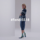 fendi507.png