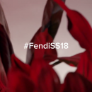 Filename=fendi877.png
Filesize=803KiB
Dimensions=1280x720
Date added=Mar 09, 2018 fendi877.png