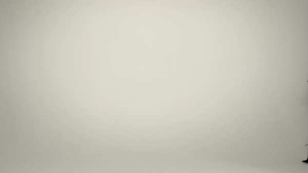 VOGUE23.png