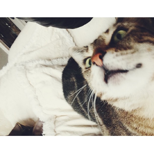 2013-3-27_16_9_50.jpg