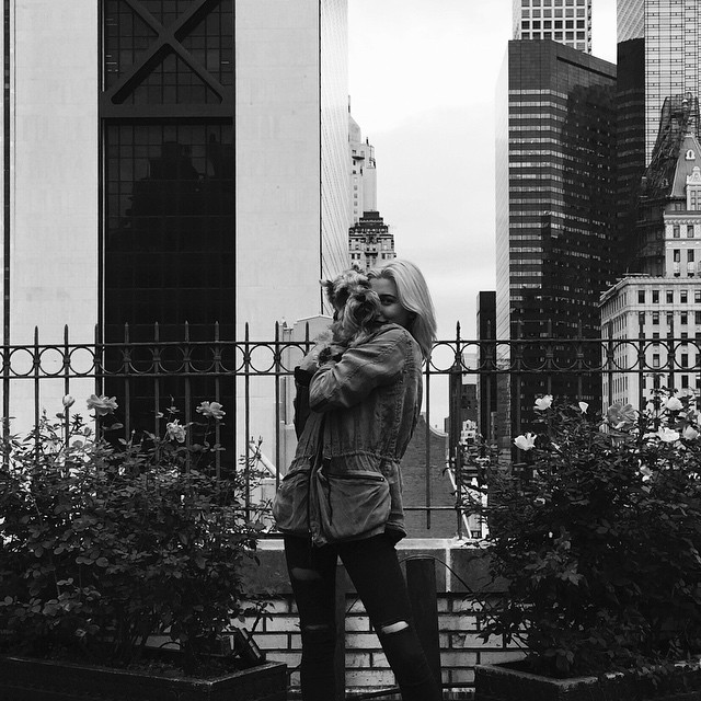 2014-10-10_17_17_27.jpg