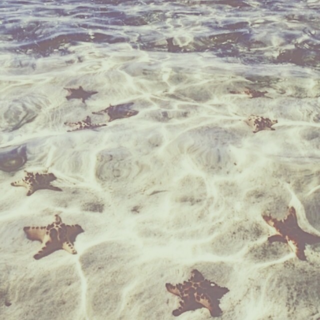 2014-6-3_0_29_50.jpg