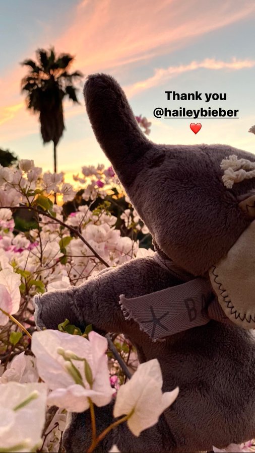 E2ObAQKXoAAskNL.jpg