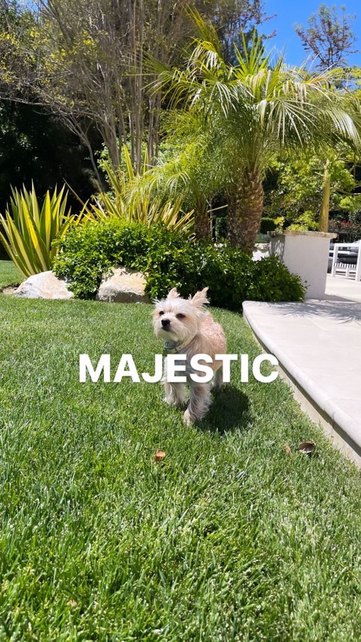 EzSIXyJUcAoDj5l.jpg