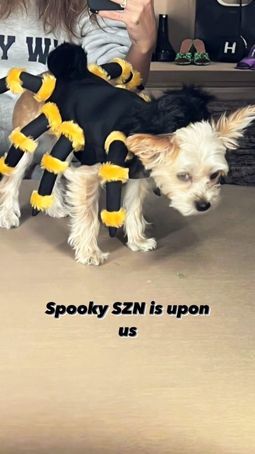 FBitD7GXoAY4WJz.jpg