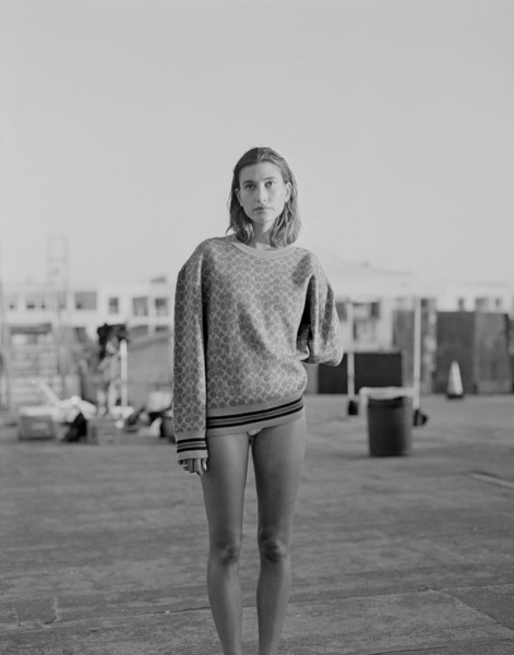 1657707-800w.jpg