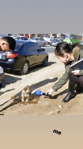 EIt0BjOX0AQTiYR.jpg