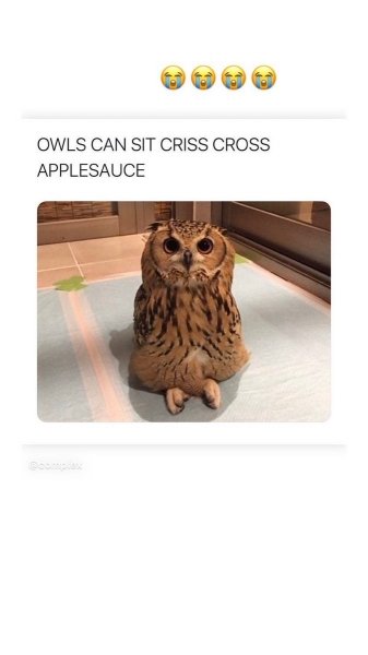 EQ3JPkZXkAAIOrX.jpg