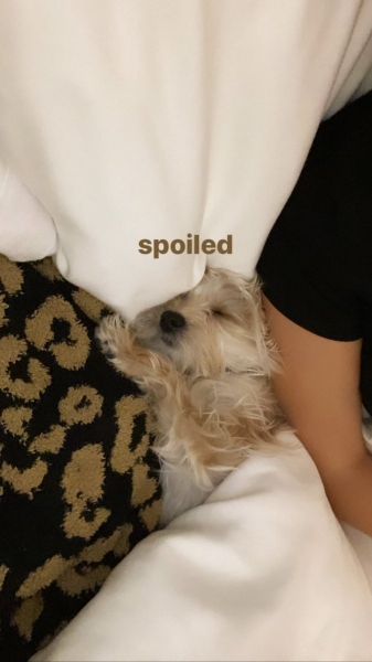 EVxvJRjWAAUi_pN.jpg
