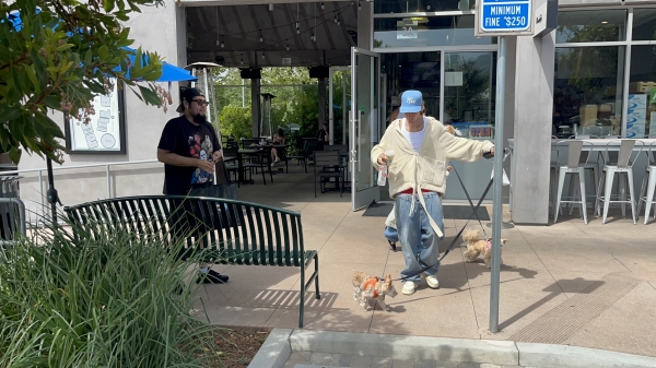 PBBR26~0.jpeg