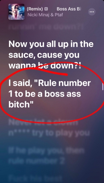 PBBR_020~16.JPG