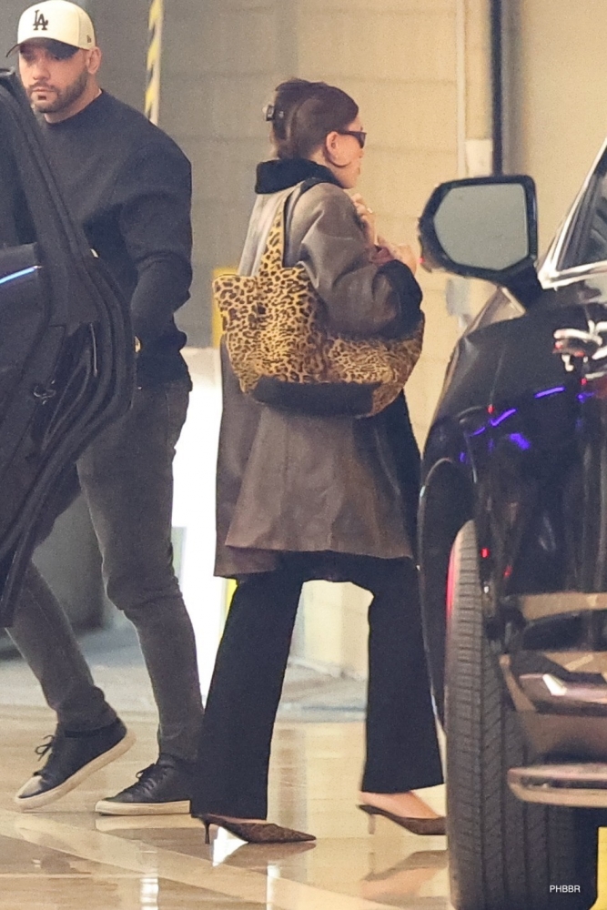 PHBBR3~312.jpg