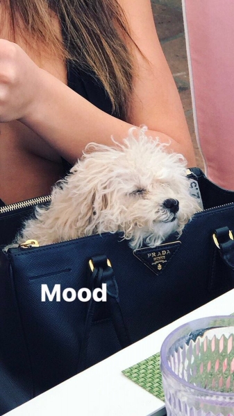 h_ig_2~0.jpg