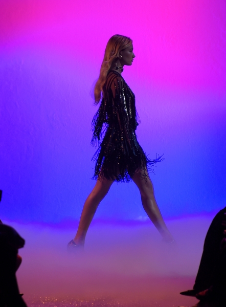 hailey-baldwin-elie-saab-fashion-show-in-paris-10116-9.jpg