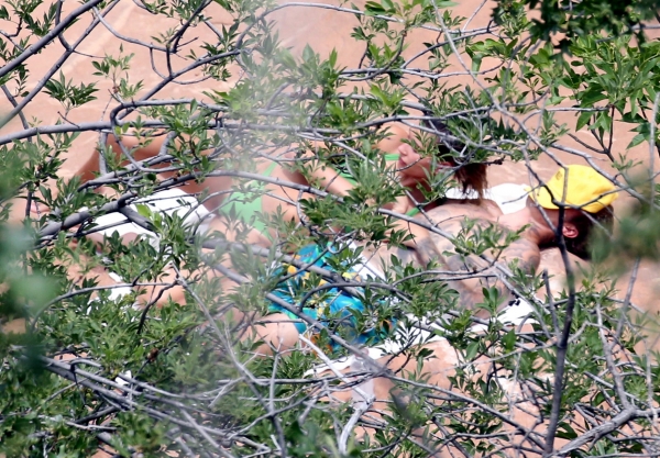pbbr46~184.jpg