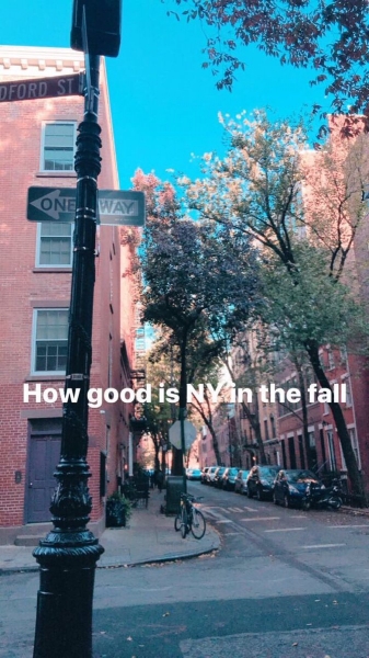 st_nxkjxn.jpg
