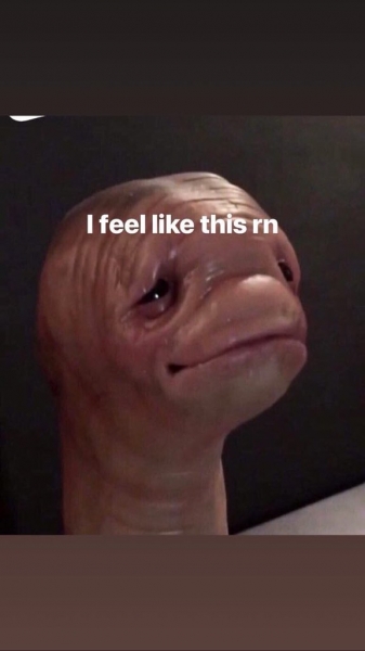 st_vkldmkp.jpg