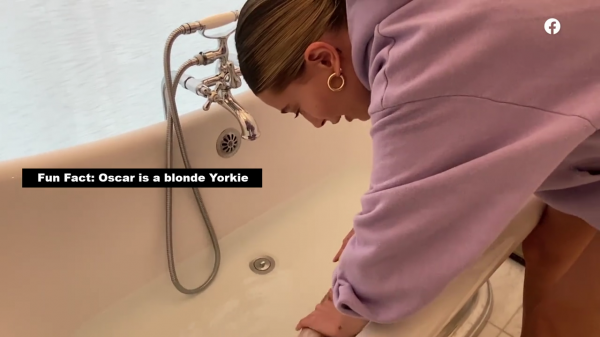 thebiebers108~2.png