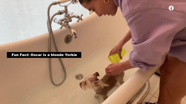 thebiebers109~2.png