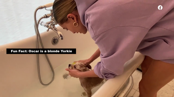 thebiebers111~2.png