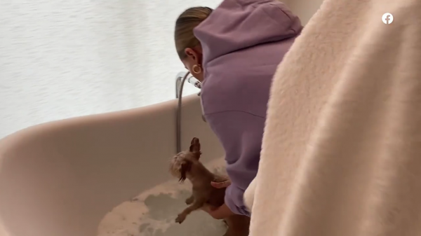 thebiebers406~2.png