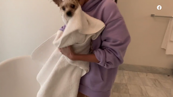 thebiebers410~2.png