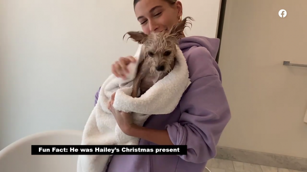 thebiebers413~2.png