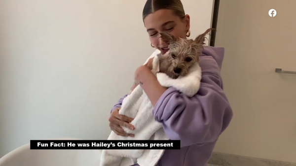 thebiebers415~2.png