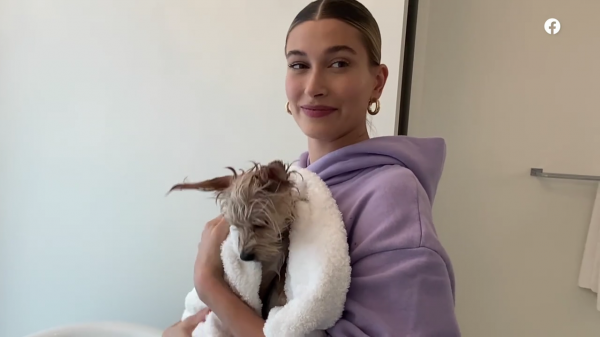thebiebers425~2.png