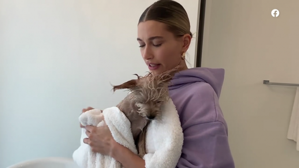 thebiebers429~2.png