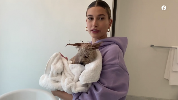 thebiebers434~2.png
