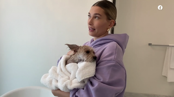 thebiebers438~2.png