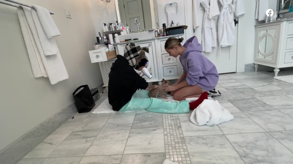 thebiebers510~2.png