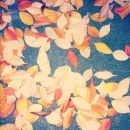 2011-11-10_19_46_49.jpg