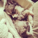 2012-12-16_3_40_48.jpg