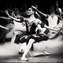 2012-12-8_3_6_49.jpg