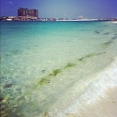 2012-2-14_1_9_17.jpg