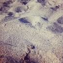 2012-6-28_18_51_35.jpg