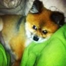 2012-8-19_23_7_38.jpg
