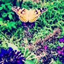 2012-8-20_14_38_18.jpg
