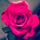 2013-2-15_2_11_4.jpg
