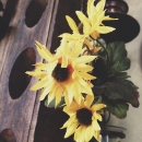 2013-3-10_16_7_53.jpg