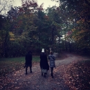2014-10-21_16_46_33.jpg