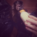 2014-4-27_23_15_4.jpg