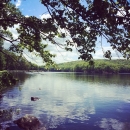 2014-5-25_17_52_6.jpg