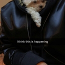 CvjnCcKXYAEh0jC.jpg