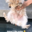 EAqJMd3XYAI6YkE.jpg