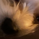 ET_6HeMX0AAFq0i.jpg