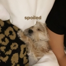EVxvJRjWAAUi_pN.jpg