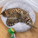 EgEFbzKXgAITT-8.jpg